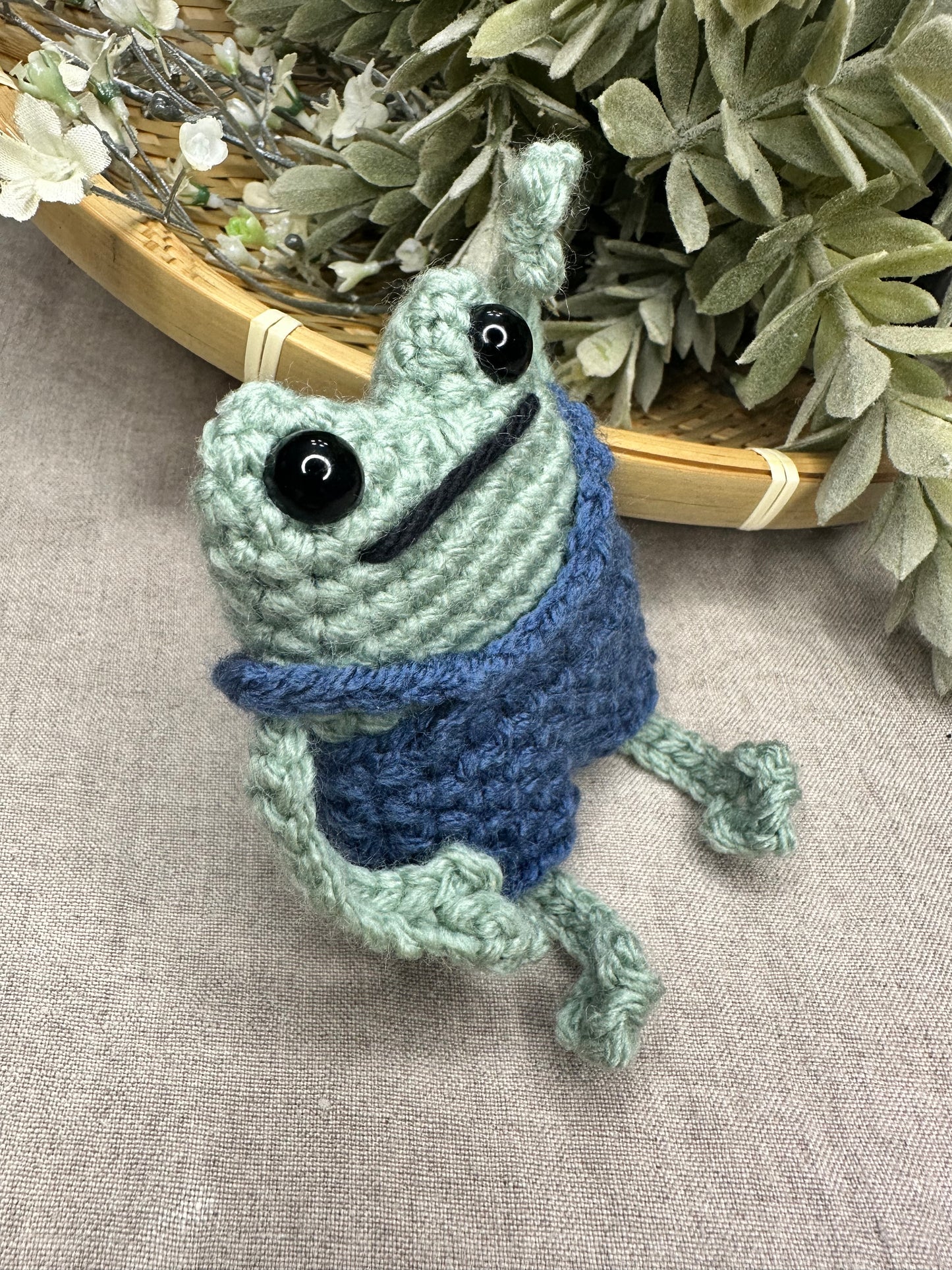 πΈ Pocket Frog π