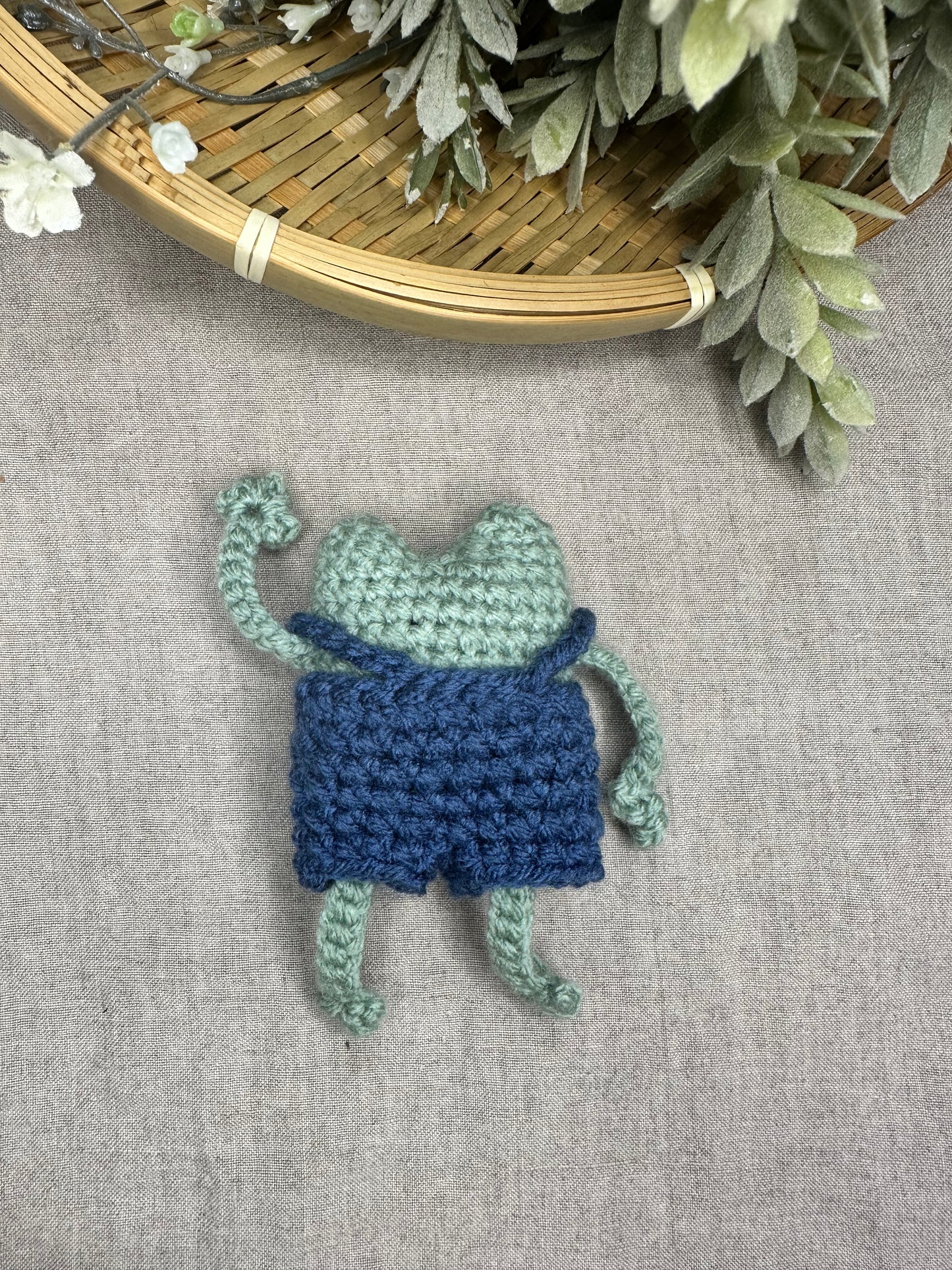 πΈ Pocket Frog π