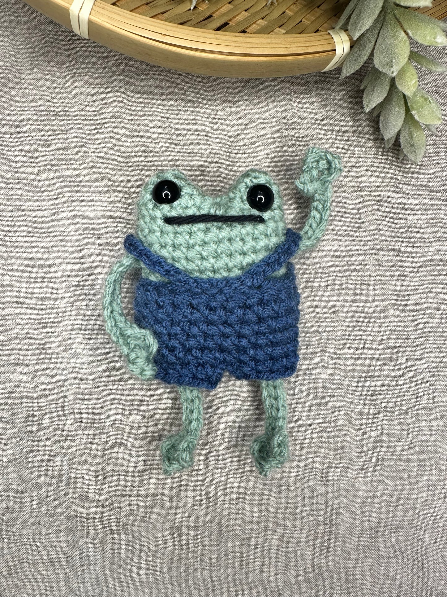πΈ Pocket Frog π